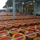 뻘낙지수산 이미지