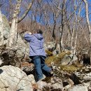 영풍농장 이미지