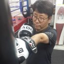존슨 복싱 클럽 이미지