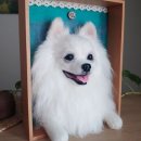 쁘띠댕댕 이미지