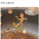 선민컨테이너 | [D+50] 휴무날 일주일치 요리하기 feat.쏘야 말고 미트볼 야채 볶음 / 쇼핑(유니클로&무지)