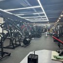 타이거짐 이미지