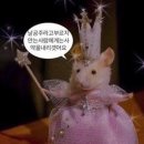 리안 | [드레스] 리안마리 드레스투어 후기