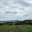 제주도 단체가족펜션 그날제주 | 이모들과 함께한 제주여행 제주도펜션 : 제주도 단체가족펜션 그날제주