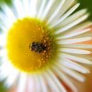 수원-1767 이미지