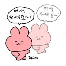 윌스기념병원_하 | 나의 인생 첫 수술,,맹장수술 ㅠ충수염 수술 후기