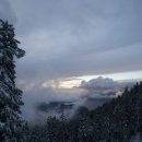 편백나무숲민박 이미지