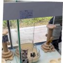 광주 강아지분양 고양이분양 어반펫 광주본점 이미지