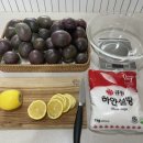 청용농장2 네이버블로그