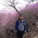 자은초등학교 이미지