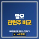 대웅바이오주식회사 | 탈모 관련주 현대약품 대웅제약 주가 강스템바이오 올릭스 주식