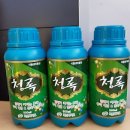 마늘 양파 냉해방지 영양제 할인 이미지