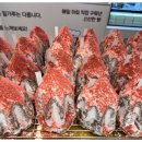 오로지 애월