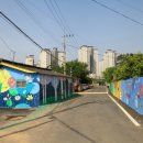 수완동 왕버들 이미지