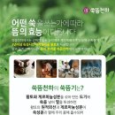 쑥뜸천하 이미지