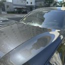 더스팀 삼천포점 이미지