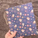 (주)대영 | 끝나지않은 컬러 팬싸..대영이 만나러 홍콩 다녀온 후기 (예사, KMS 영통, KMS 홍콩)