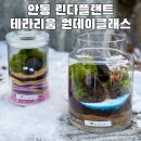 린다플랜트