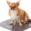 하남동물병원 이미지