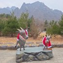 설악산천연보호구역 | 설악산 천연보호구역 (雪嶽山 天然保護區域) - 천연기념물 (2026.01.18.)