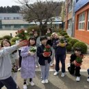 궁평초등학교 이미지