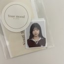 탕후루 사우루스
