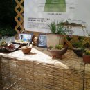 유진세차장 이미지