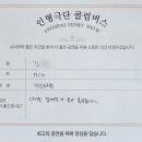 진남유치원 이미지