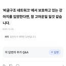 비글구조네트워크 동물메디컬센터 | 견종 중 내향견들(?) 추천 부탁 드리고 싶습니다 에 대한답변