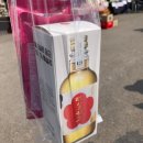 매화마을길 | 광양 매화축제 후기 : 광양시 매화마을 매화꽃길 지금 꼭 가야 할 봄꽃 축제