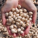 청한농장 이미지