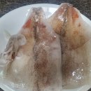 한치로2 티스토리