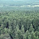 상천리-3 이미지