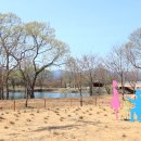 자라섬캠핑장 중도-1 | 가평올레길 1코스 정리 코스 기본 정보, 소요시간, 자라섬 산책 안내