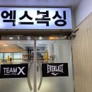 팀엑스복싱 이미지