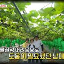 박상윤농장 이미지