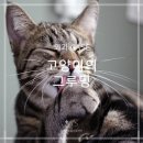 울산 이승진동물병원 이미지