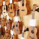 톡톡 우쿨렐레 이미지