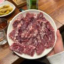 둥지 | ⭐️창원 도계동 중동 노포 맛집 또간집 <부산갈매기> 내돈내산 솔직 후기⭐️