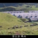 [두리쌤]-평창 삼양 목장 동영상 이미지