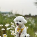 공간 페로 이미지