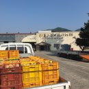 대구경북능금농협청도경제사업장 이미지