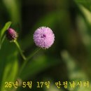 먼 데서 오신 손님! 이미지