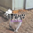천연애왜관점 | [일기] 송쁨 일기장 26.01.12-01.18