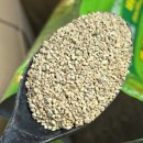 시온농약친환경자재 | 삼대씨앗 친환경해충제거 쪽파비료 솔직후기