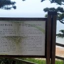 고대도6 이미지