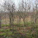 하민농장 이미지