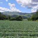 전용농장 이미지