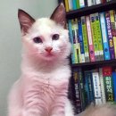 우산아파트 이미지