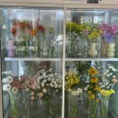 전주 효자동 꽃집 포브플레르 감성 꽃다발 선물 후기 💐